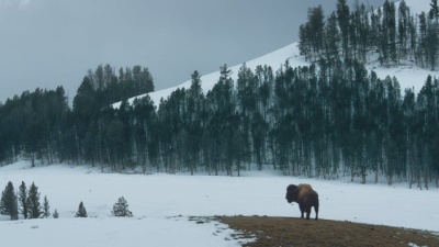 Travel Wyoming - George Bumann